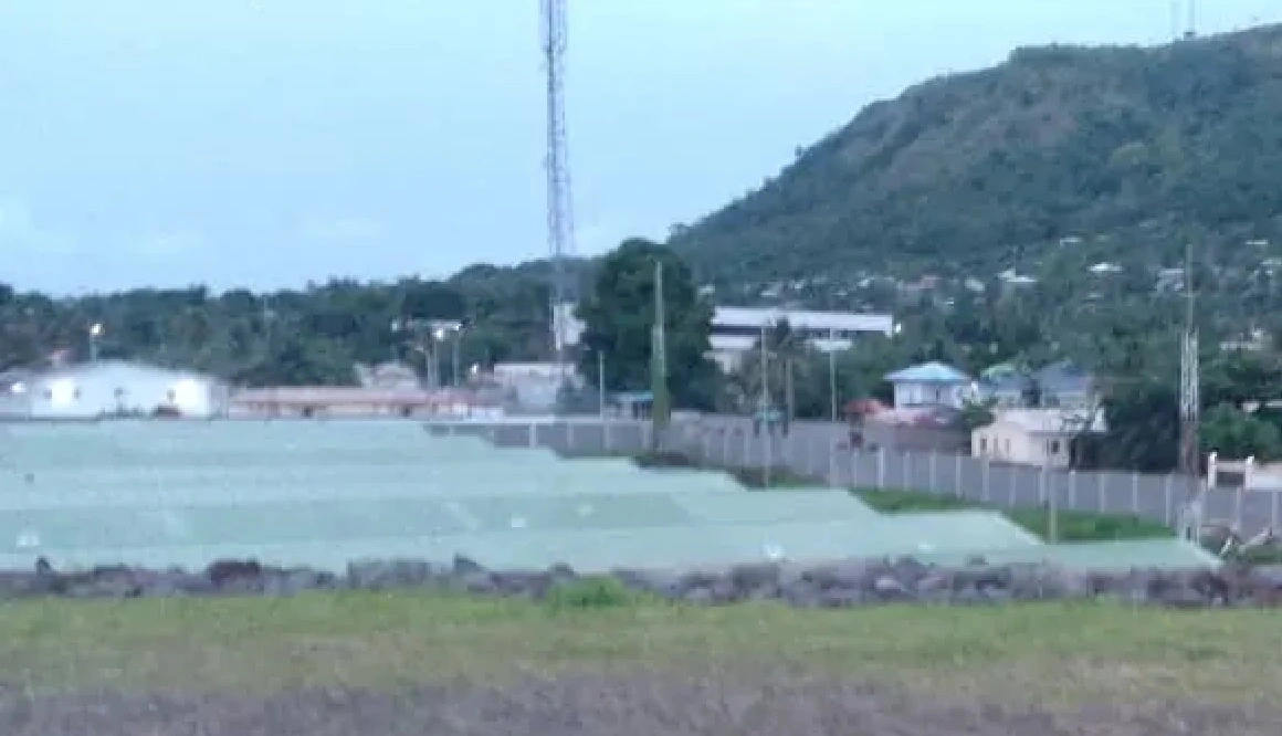 Advierten sobre abusos de menores y la ocupación ilegal de campos de cultivos por parte de Guinea Ecuatorial